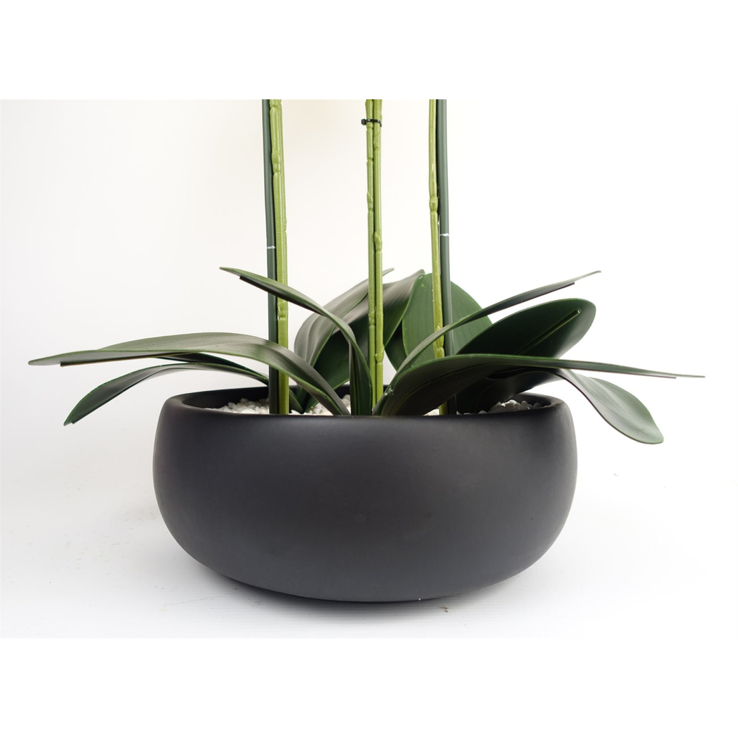 Leaf 60cm Artificial Orchid with Ceramic Planter