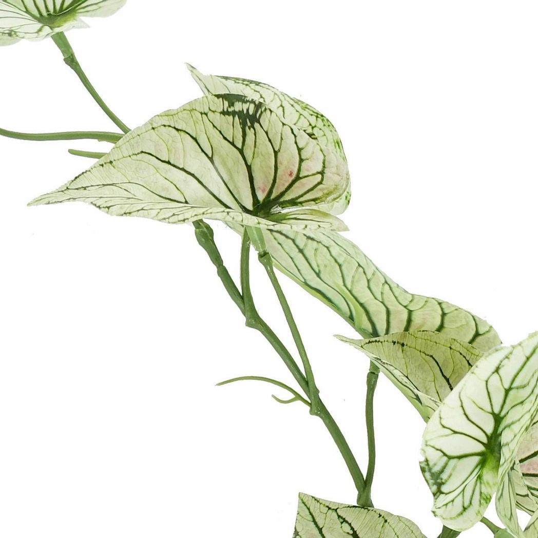 Leaf Artificial Trailing Variegated Alocasia Plant in White Decorative Pot, 30cm Tall, Realistic Faux Plant