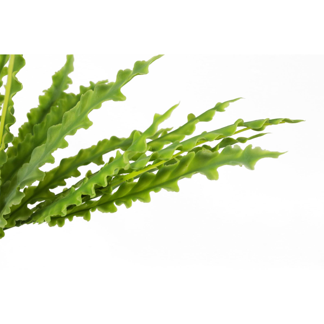 Leaf 40cm Artificial Crocodile Fern Plant, Wired Stems, Unpotted Bare Stem Artificial Plant