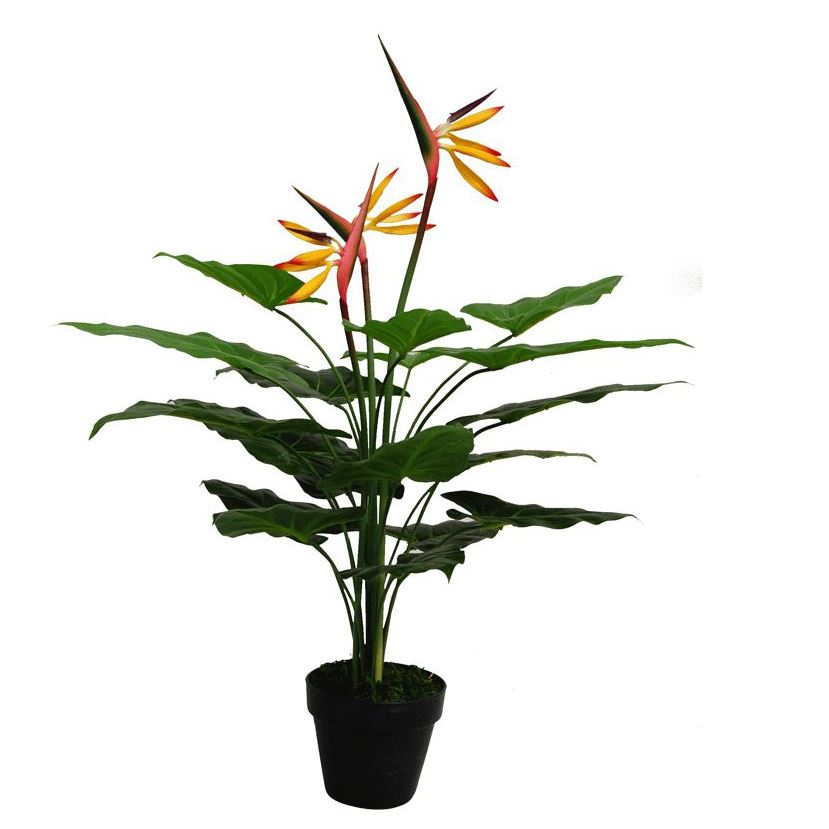 70cm Artificial Bird of Paradise Plant (Strelitzia) in Plastic Pot, Ready to Display