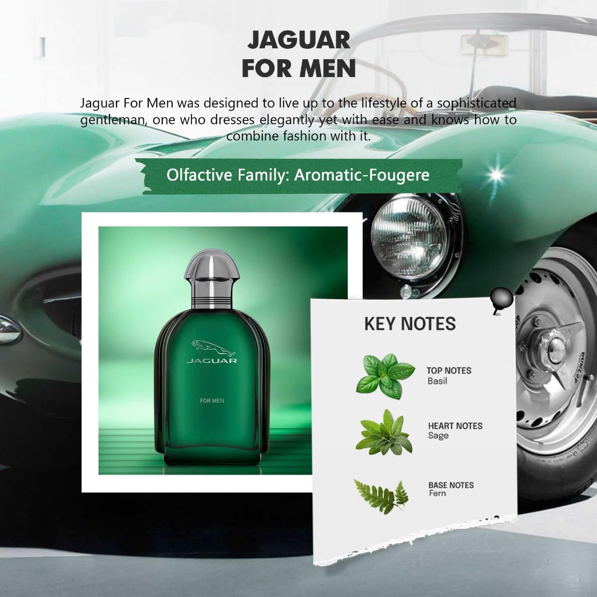 Jaguar For Men Aromatic Fougere Eau de Toilette Spray 100ml