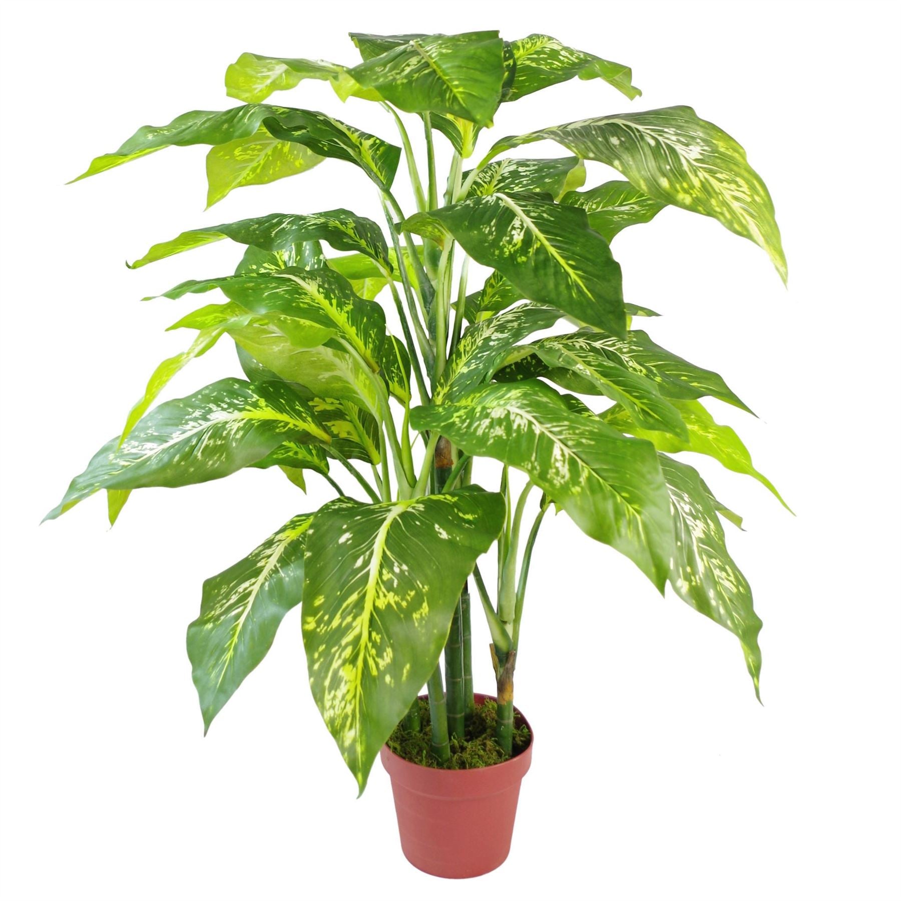 Leaf Design UK 100cm Spotted Evergreen Artificial Plant in Weighted Plastic Pot