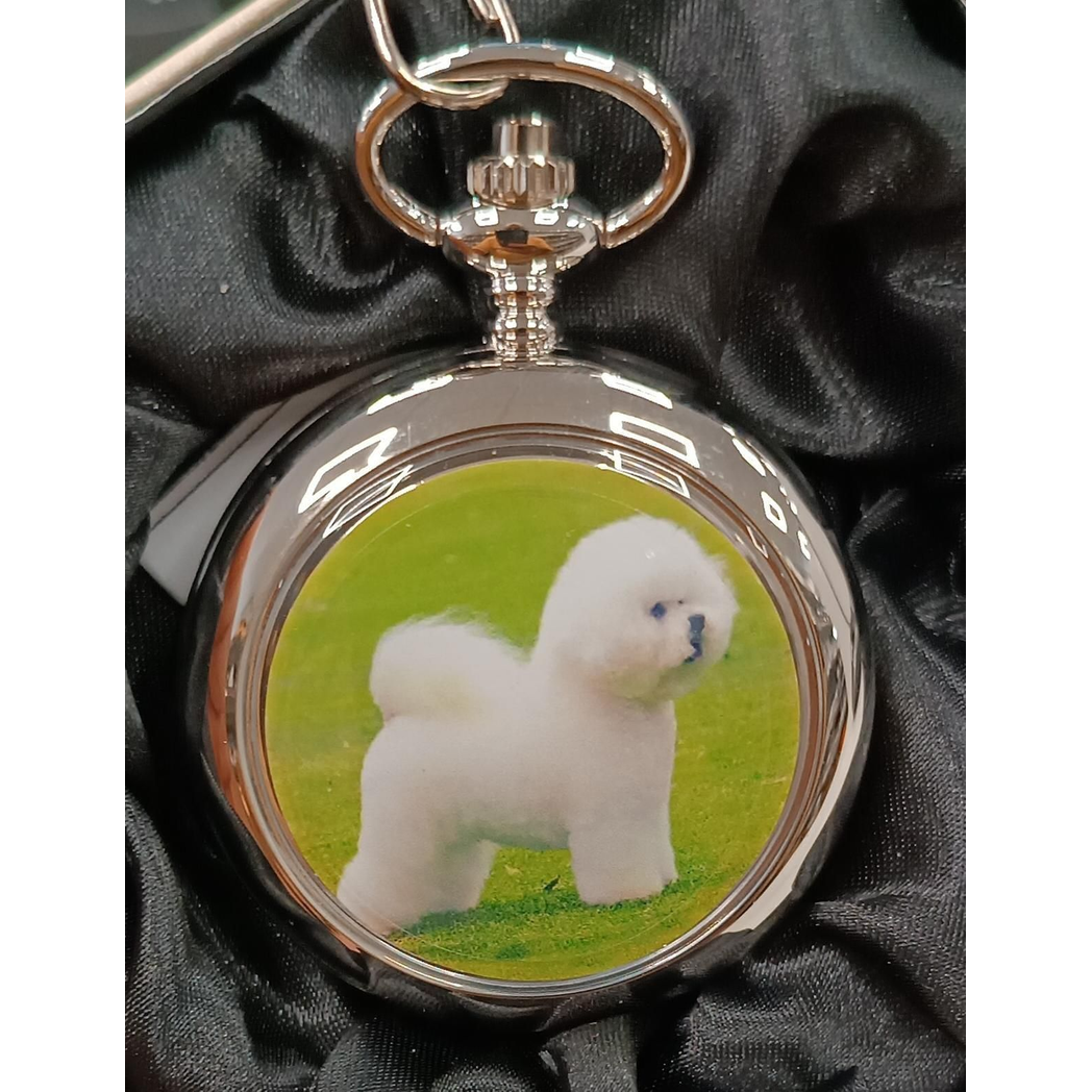 Boxx Picture Pocket watch Dog P5061.115