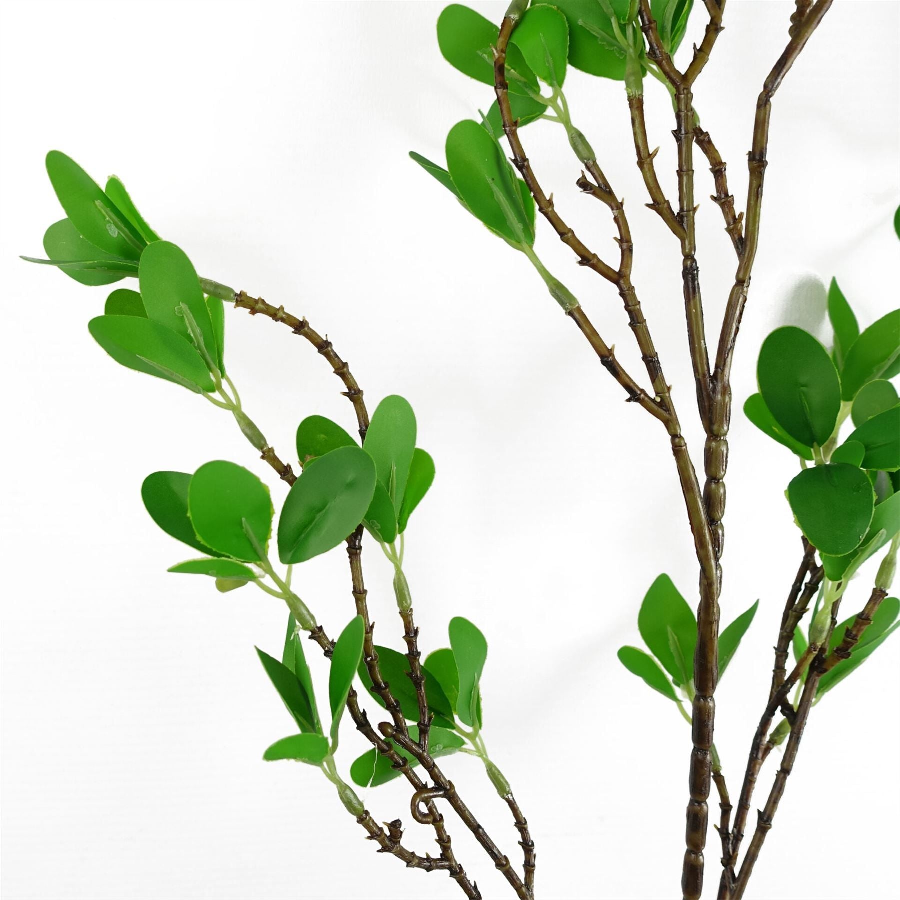 Leaf Pack of 6 100cm Mini Leaf Ficus Stems