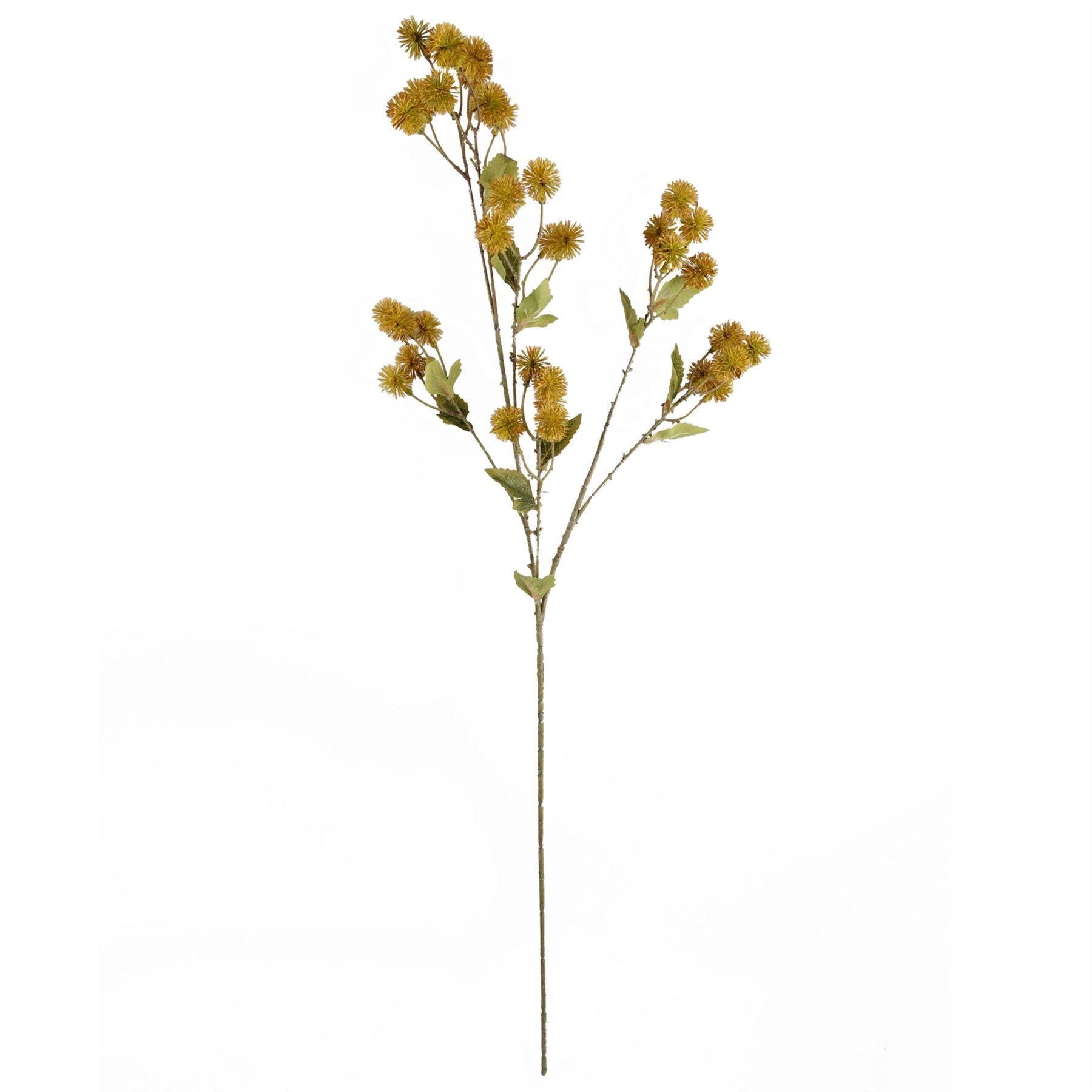 Leaf Pack of 6 85cm Yellow Artificial Craspedia Stems