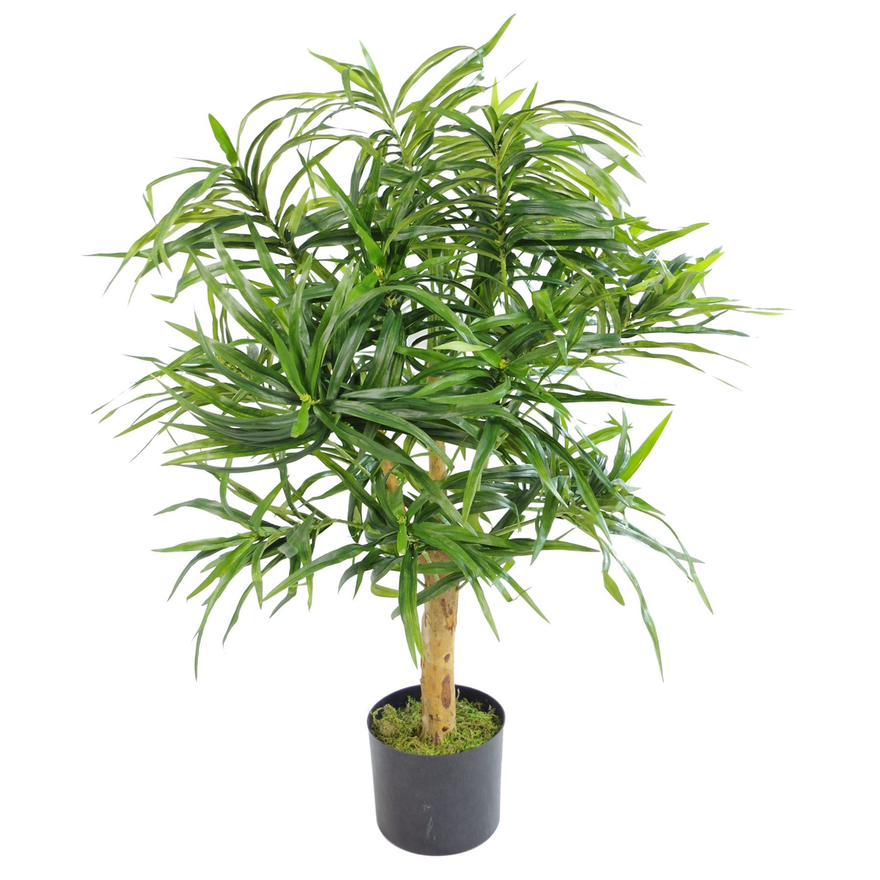 100cm Premium Artificial Dracaena Plant Tree in Pot