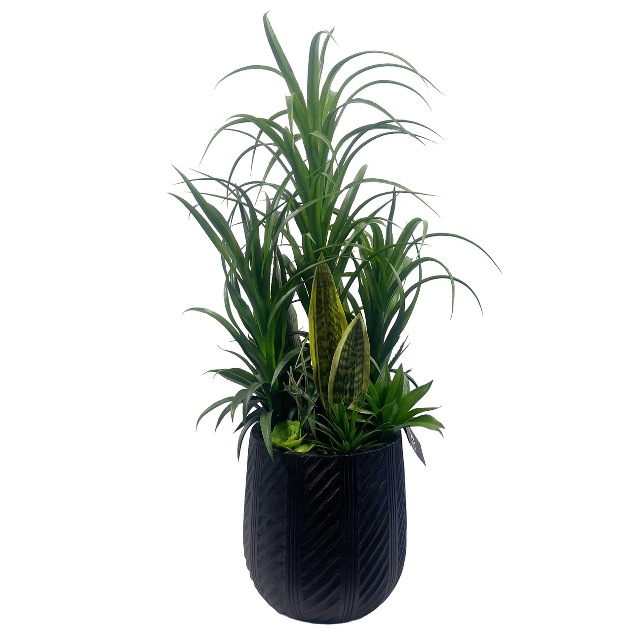 107cm Artificial Yucca Display in Decorative Pot