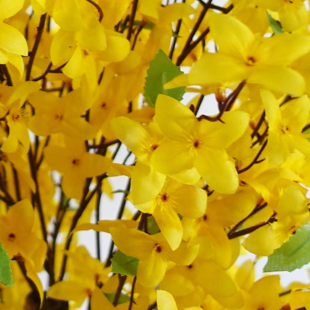 Leaf 60cm Artificial Forsythia Tree with Natural Wood Trunk and Yellow Silk Flowers