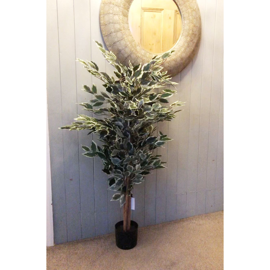 Leaf 130cm Artificial Variegated White and Green Bushy Ficus Tree