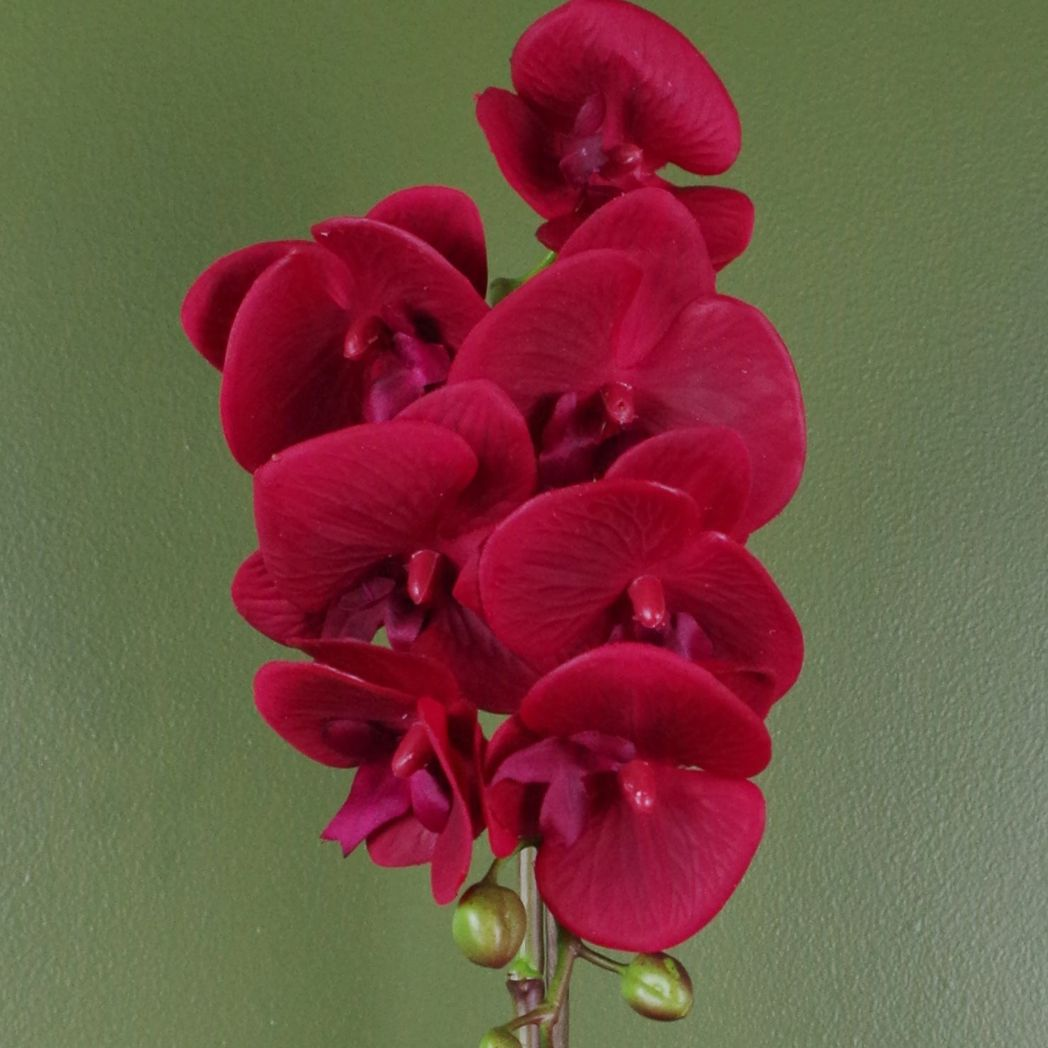 46cm Artificial Orchid Plant Red with 7 Real Touch Flowers in Silver Pot