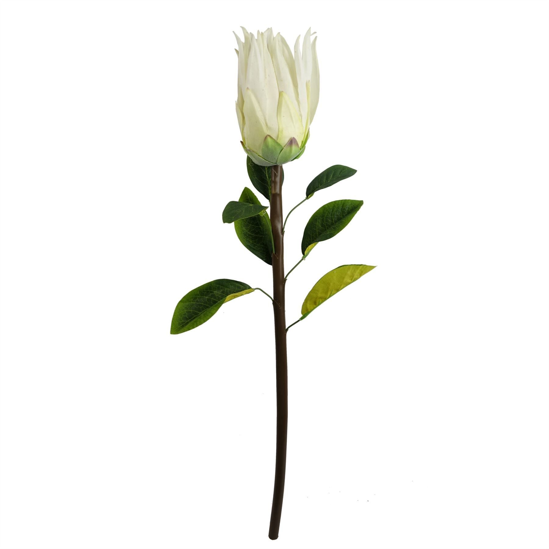 Pack of 6 White 65cm Artificial Protea Sugarbush Flower Stems