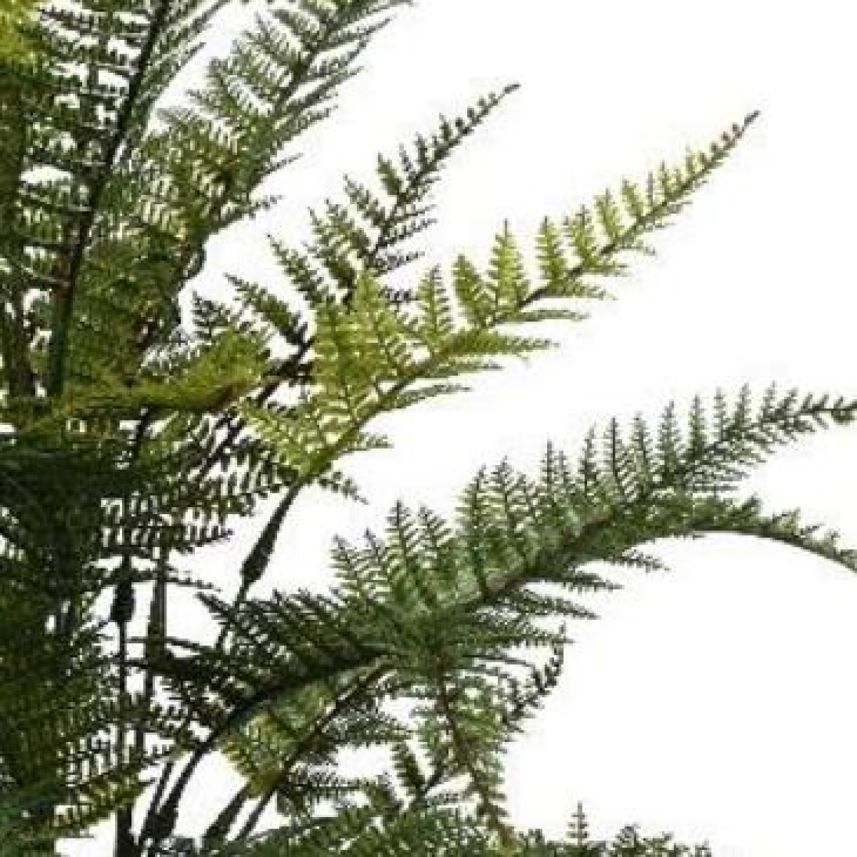 Leaf 78cm Fire Retardant Artificial Fern Foliage Branch, Bare Stem, No Pot