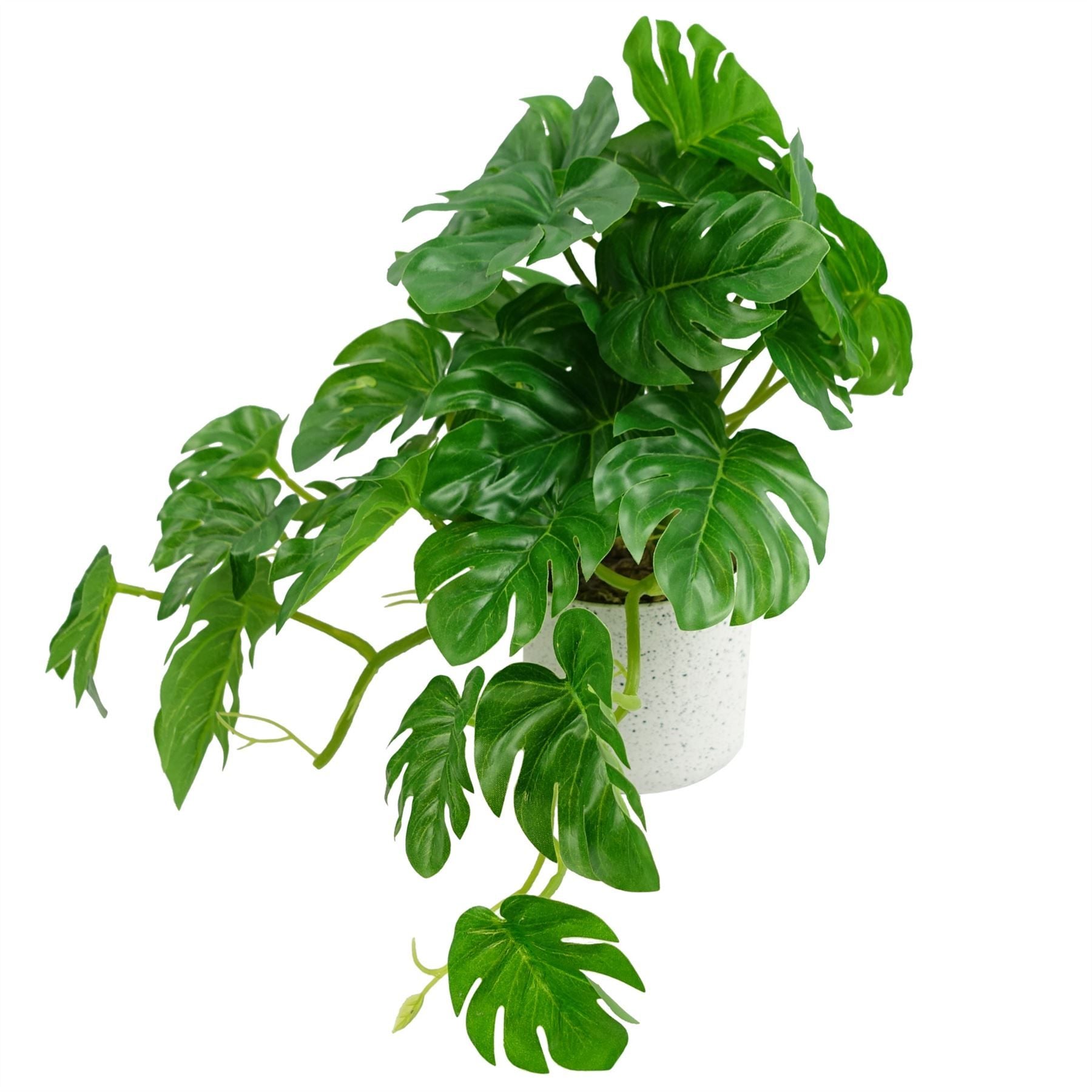 Leaf 30cm Artificial Green Potted Monstera Trailing Plant in Decorative Weighted Pot