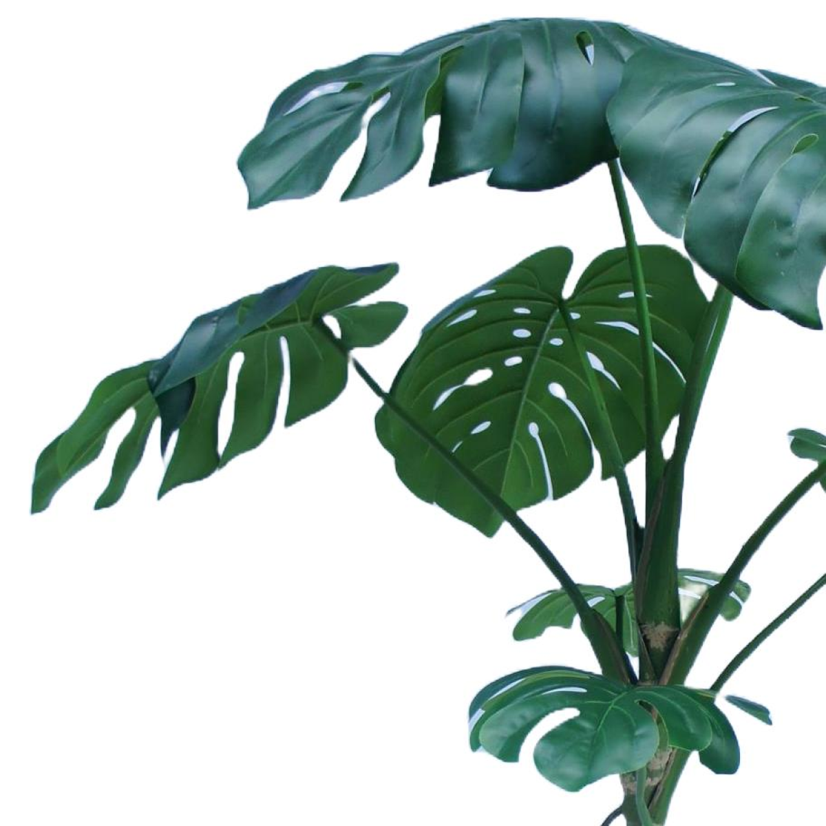 180cm Lifelike Green Monstera Artificial Tree in Black Plastic Pot