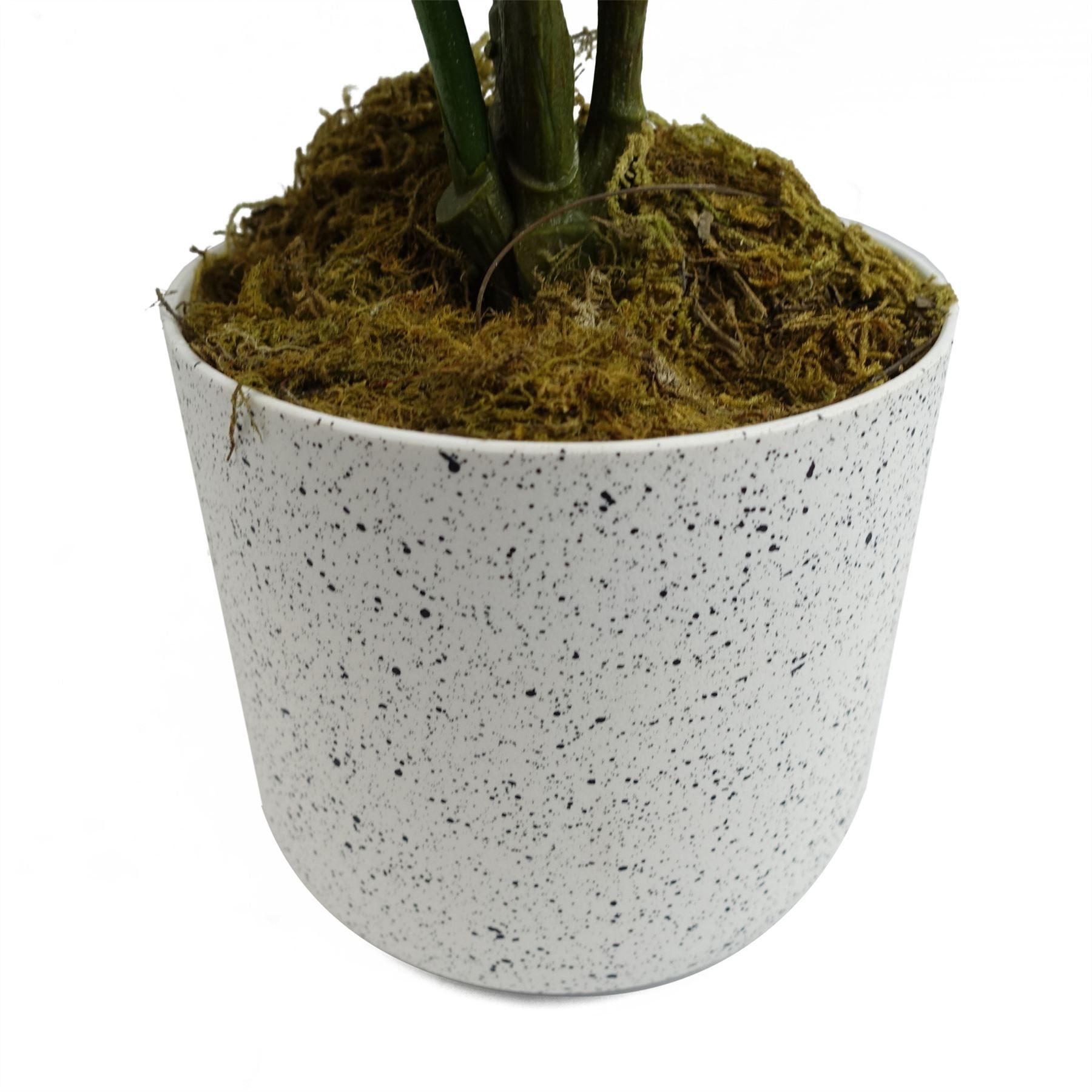 55cm Artificial White Peony Plant in Decorative Plastic Weighted Pot