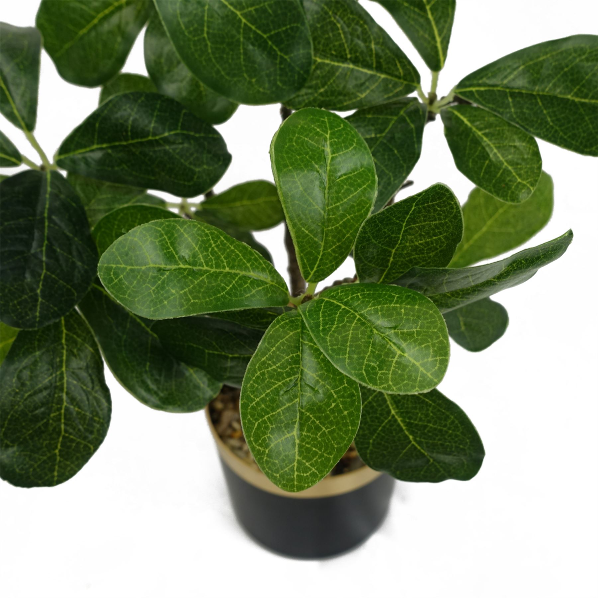 Leaf 60cm Artificial Tropical Bonsai Ficus Tree in Plastic Pot with Decorative Gravel and Wired Stems