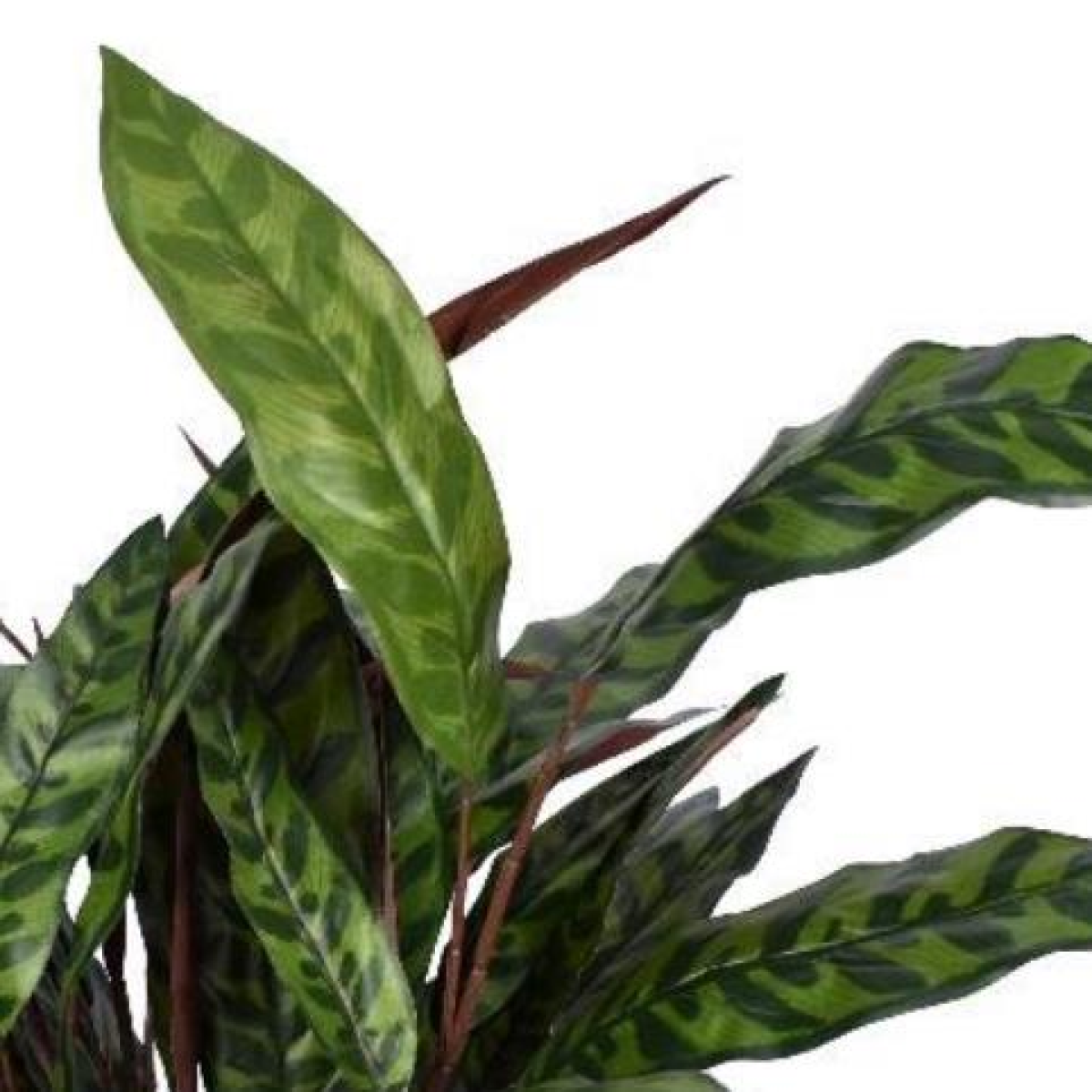 Leaf 90cm Fire Retardant Artificial Peacock Foliage Bush