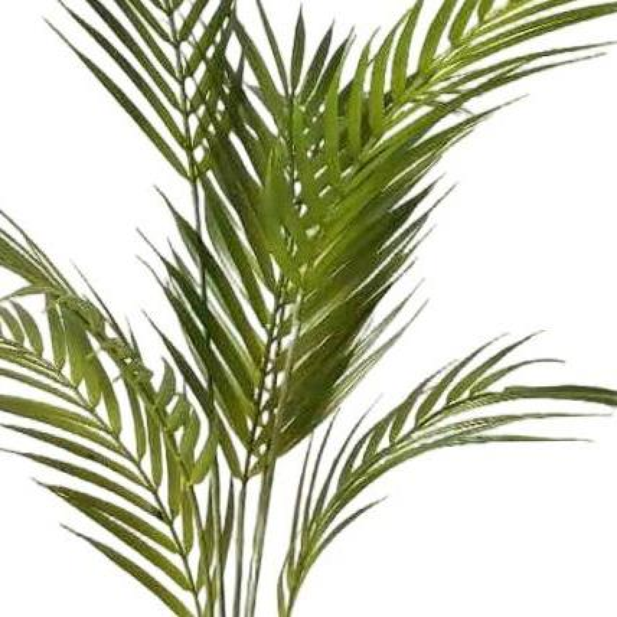 Leaf 70cm Artificial Areca Palm Tree in Black Plastic Pot