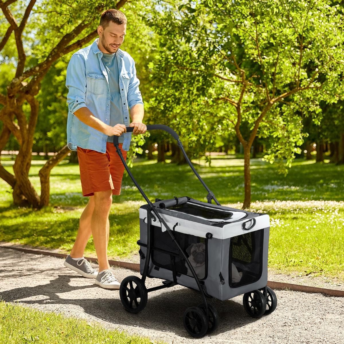 PawHut Foldable Pet Stroller with Detachable Carrier, Grey