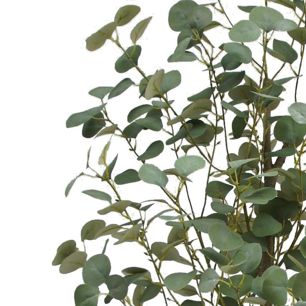 Leaf 180cm Realistic Artificial Eucalyptus Tree in Black Pot