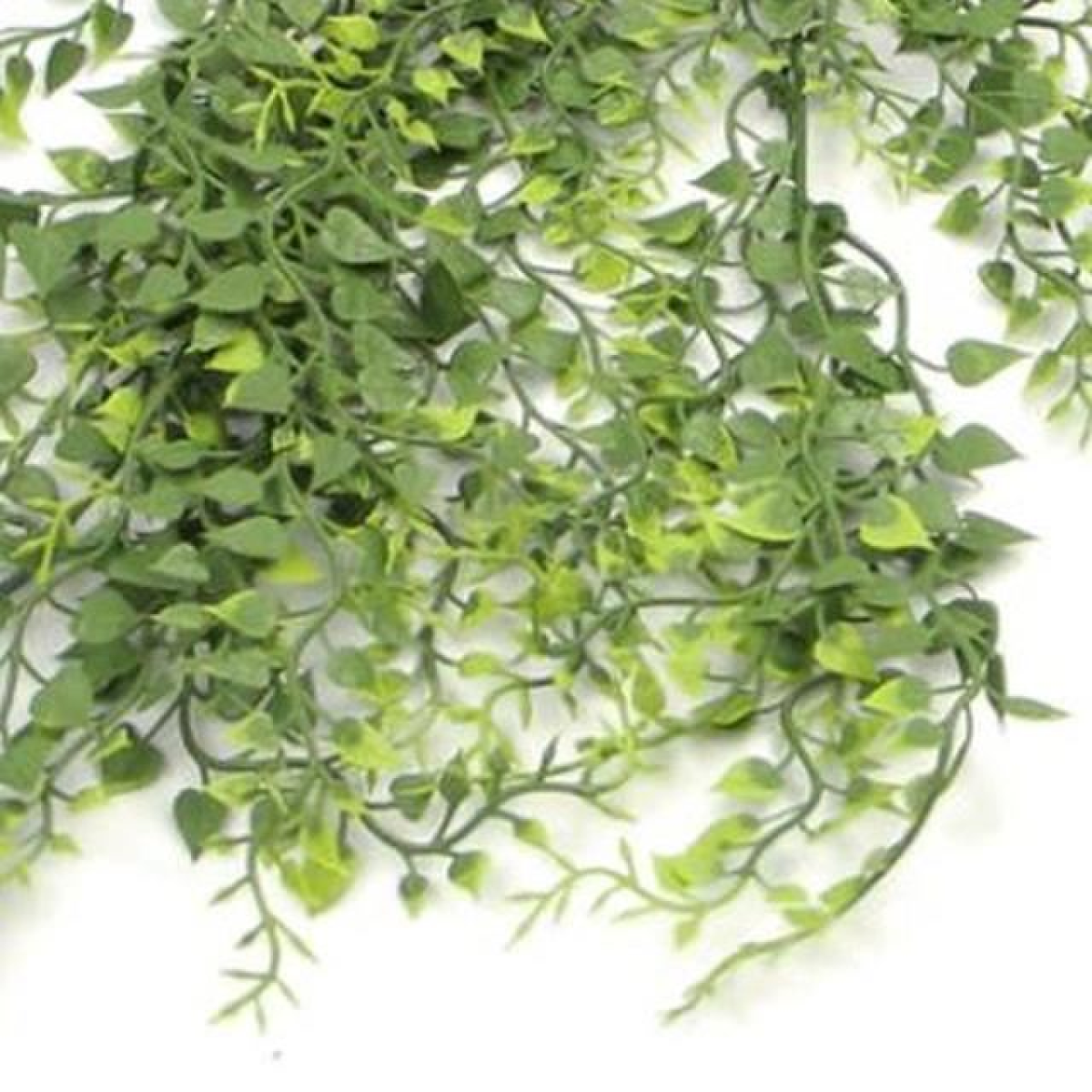 Leaf Pack of 6 82cm Hanging Artificial Trailing Button Fern Plants, UV and Fire Resistant