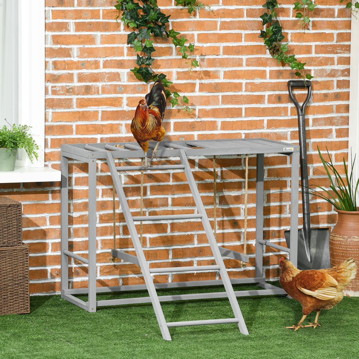 PawHut Chicken Activity Play Center with Swing Set, Ladder and Perches for 3-4 Birds, Grey