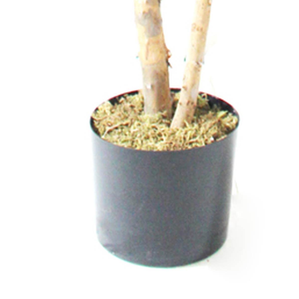 Leaf 180cm Artificial Fiddle Fig Tree in Black Plastic Pot