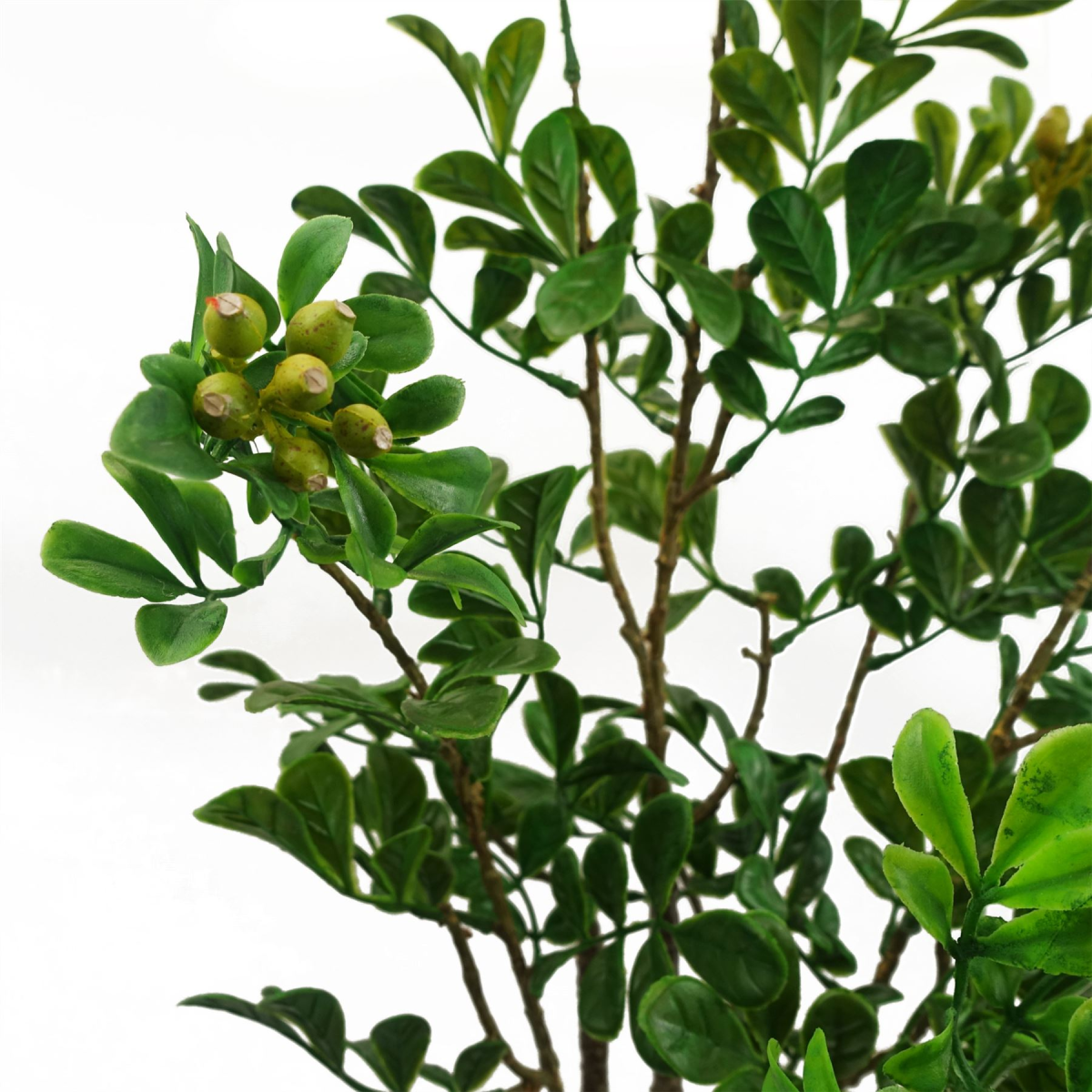 Leaf 60cm Artificial Aglaia Odorata Bonsai Ficus Tree with Plastic Pot
