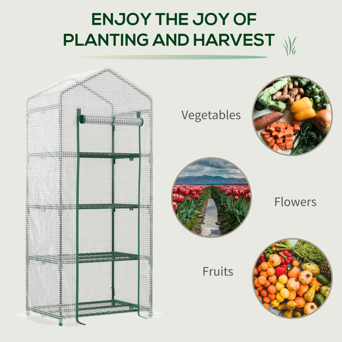 Mini Greenhouse