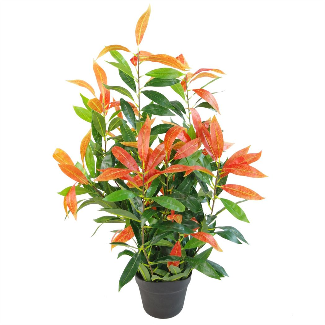 Leaf 80cm Highly Realistic Artificial Red and Green Ficus Plant in Black Pot