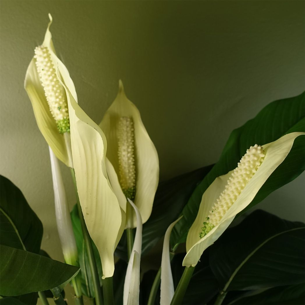 Leaf Artificial White Peace Lily Spathiphyllum Potted Indoor Plant, 60cm Tall