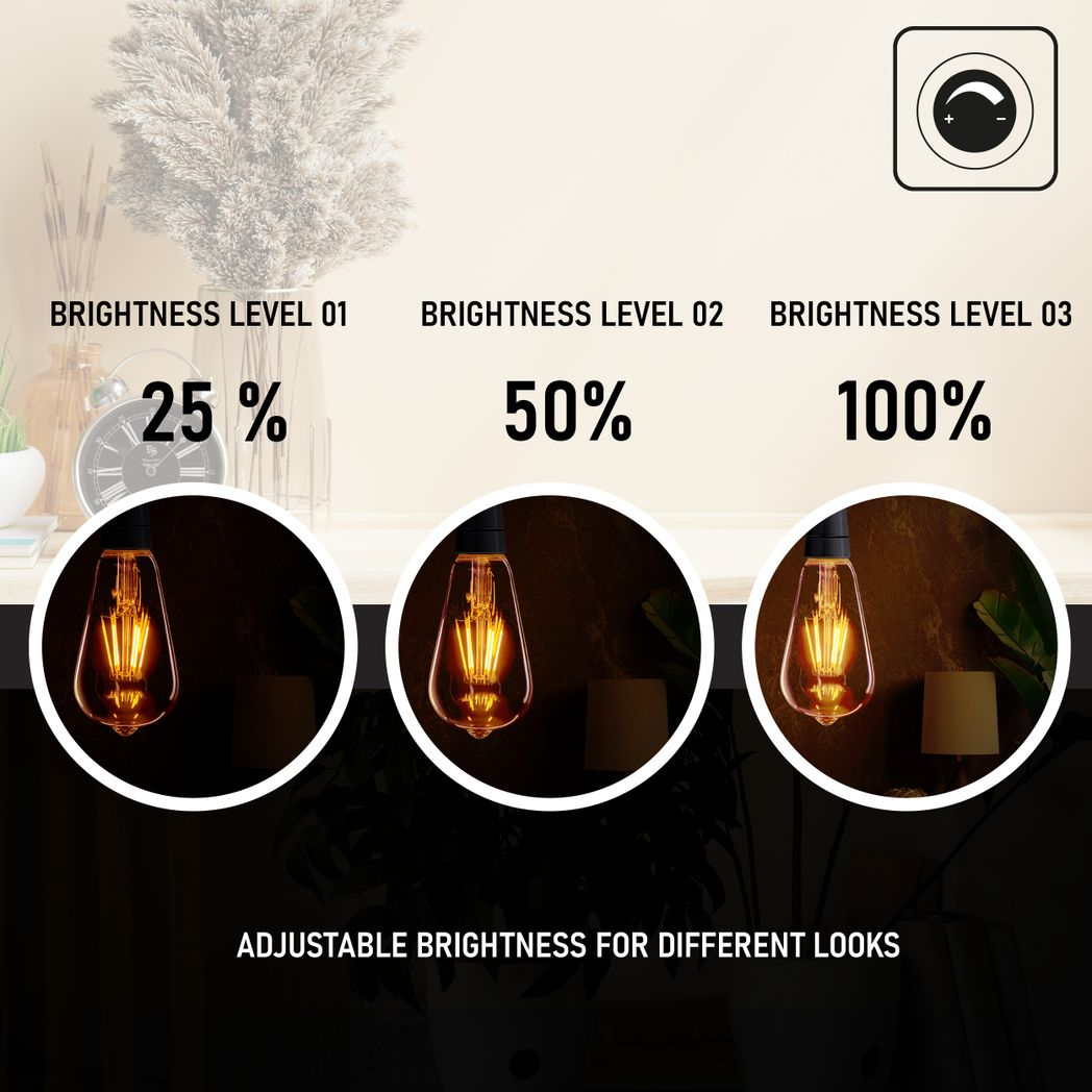 6Pack E27 LED Edison Dimmable Vintage Amber Glass Warm white 2700K Light Bulb