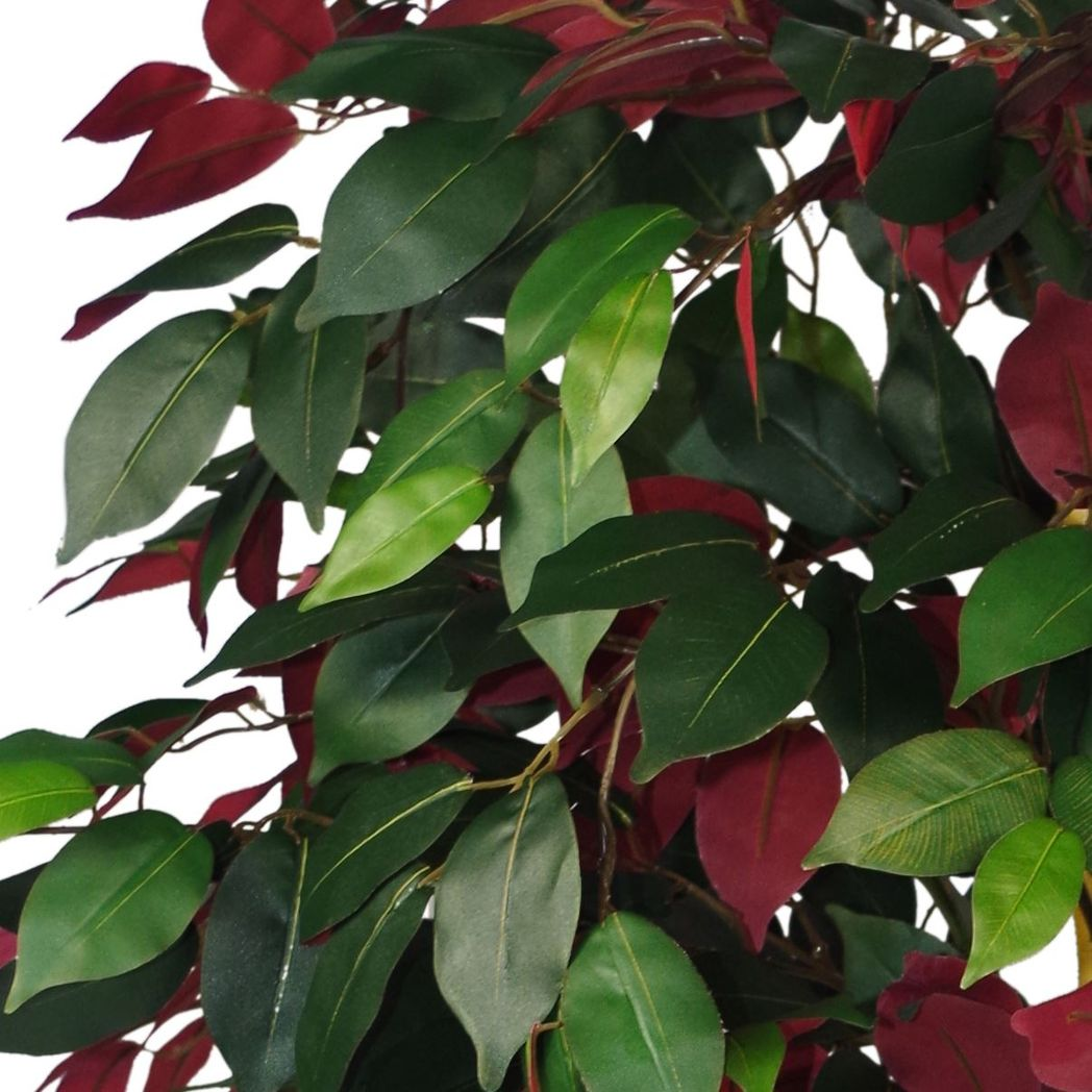 Leaf 120cm Artificial Capensia Ficus Tree Plant with Real Wood Trunk, Red and Green Foliage