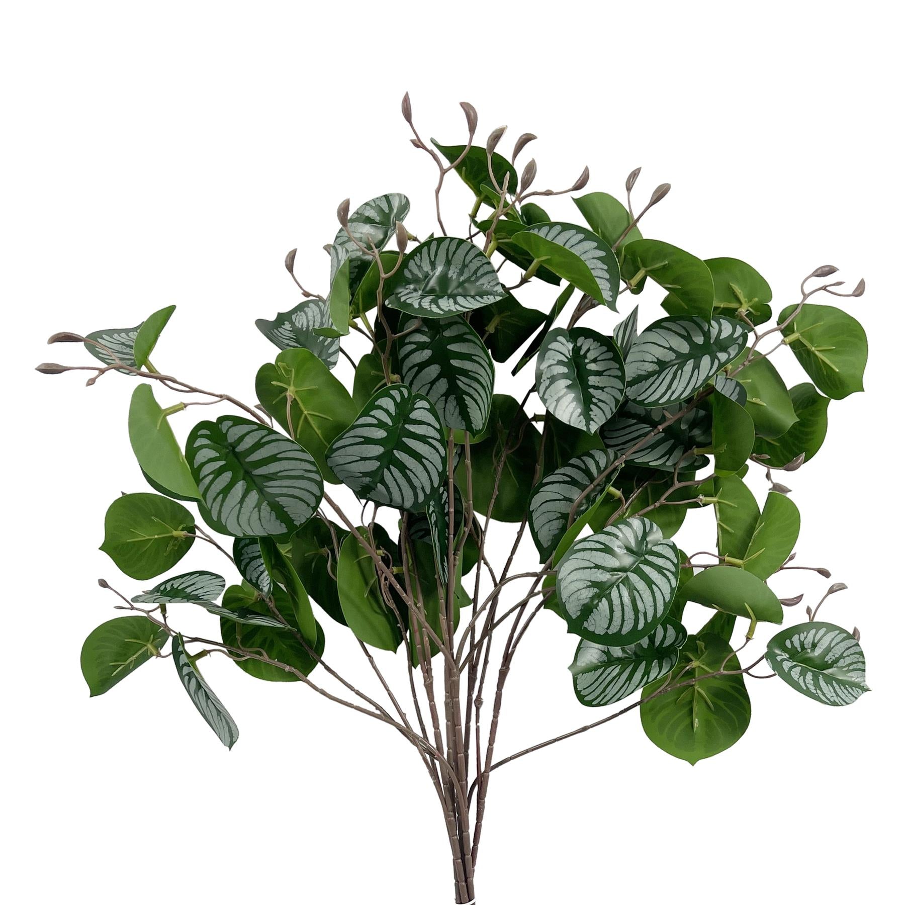6 Pack 70cm Artificial Zebra Foliage with Wired Stem