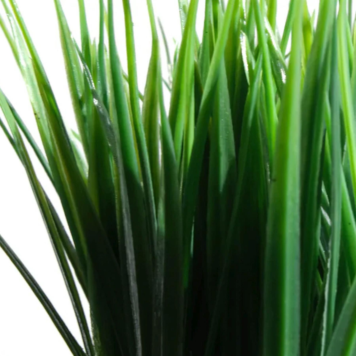 Leaf Pack of 6 22cm Artificial Grass Plant