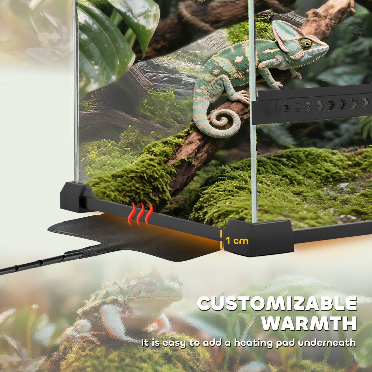 Reptile Glass Terrace