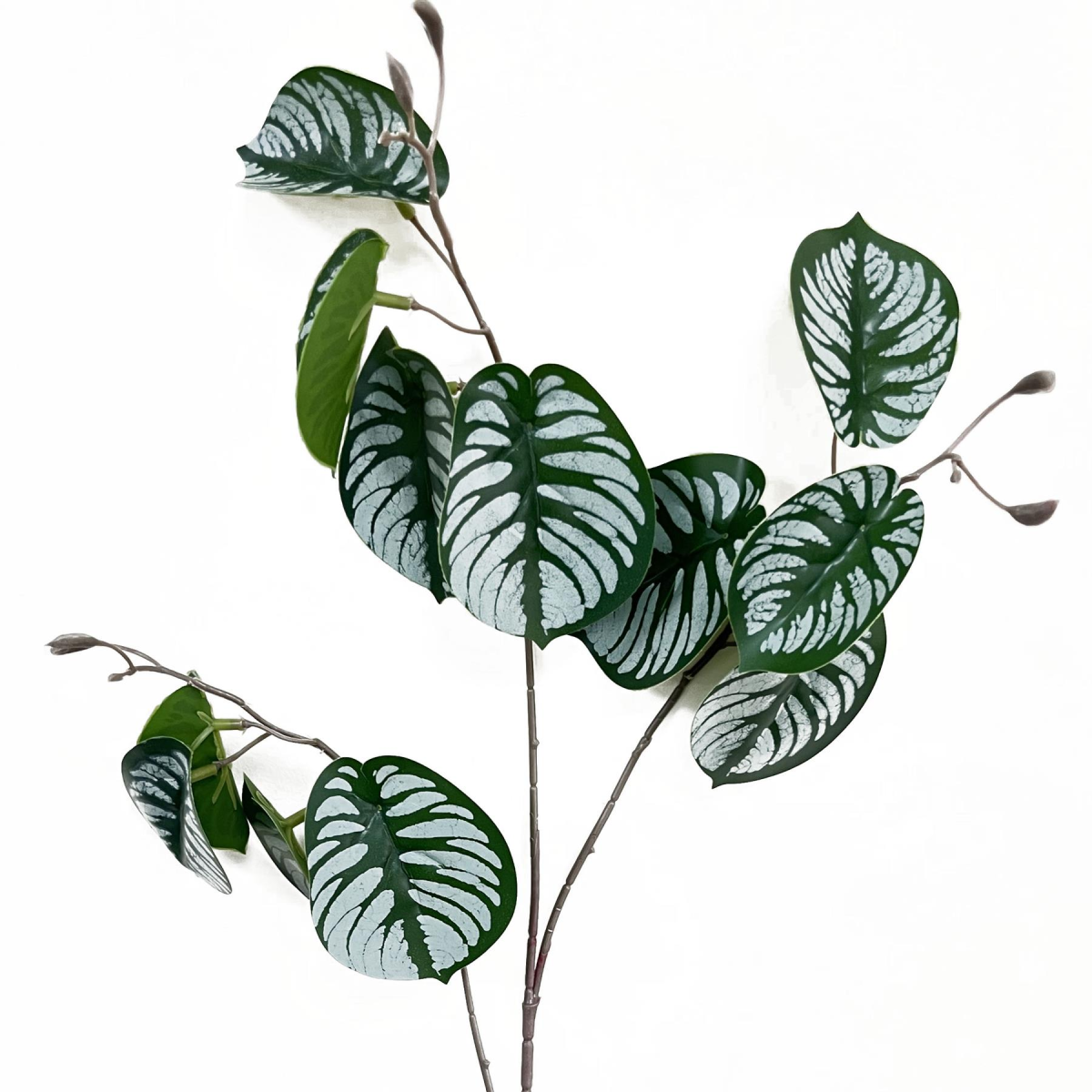 Leaf 70cm Artificial Zebra Foliage Wired Stem