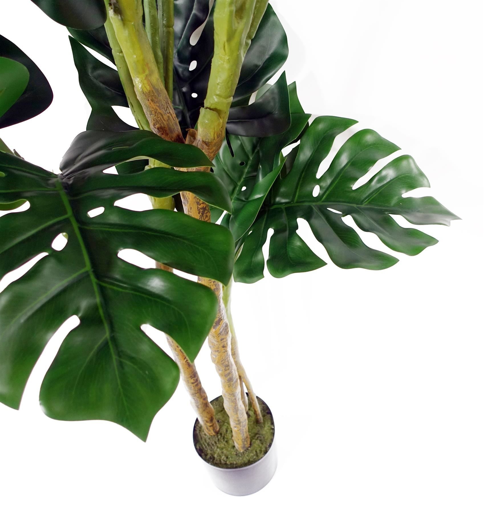 150cm Artificial Monstera Plant in Weighted Pot, Premium Quality, Highly Realistic, Ready to Display