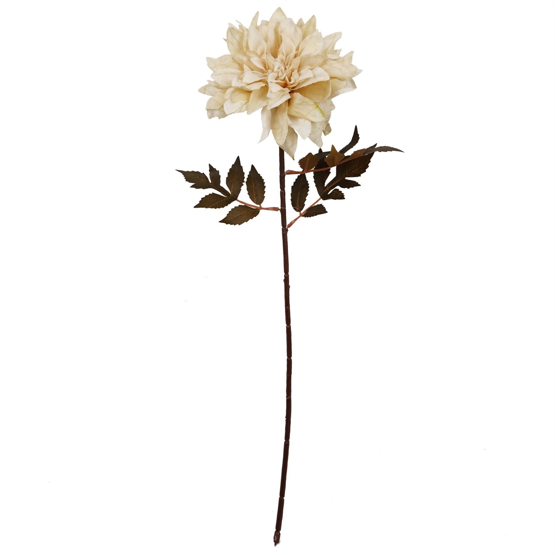 Leaf 55cm Dusty Cream Dahlia Flower Stem