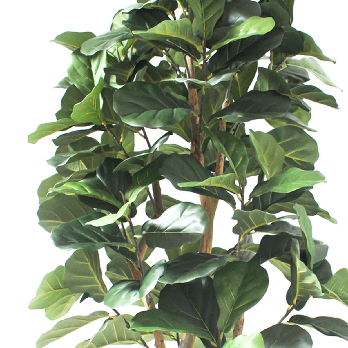 Leaf 180cm Artificial Fiddle Fig Tree in Black Plastic Pot