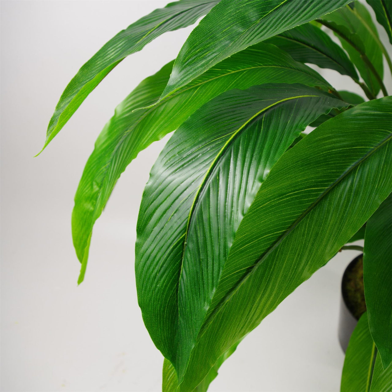 60cm Artificial Calathea Plant Full Bushy Realistic Replica
