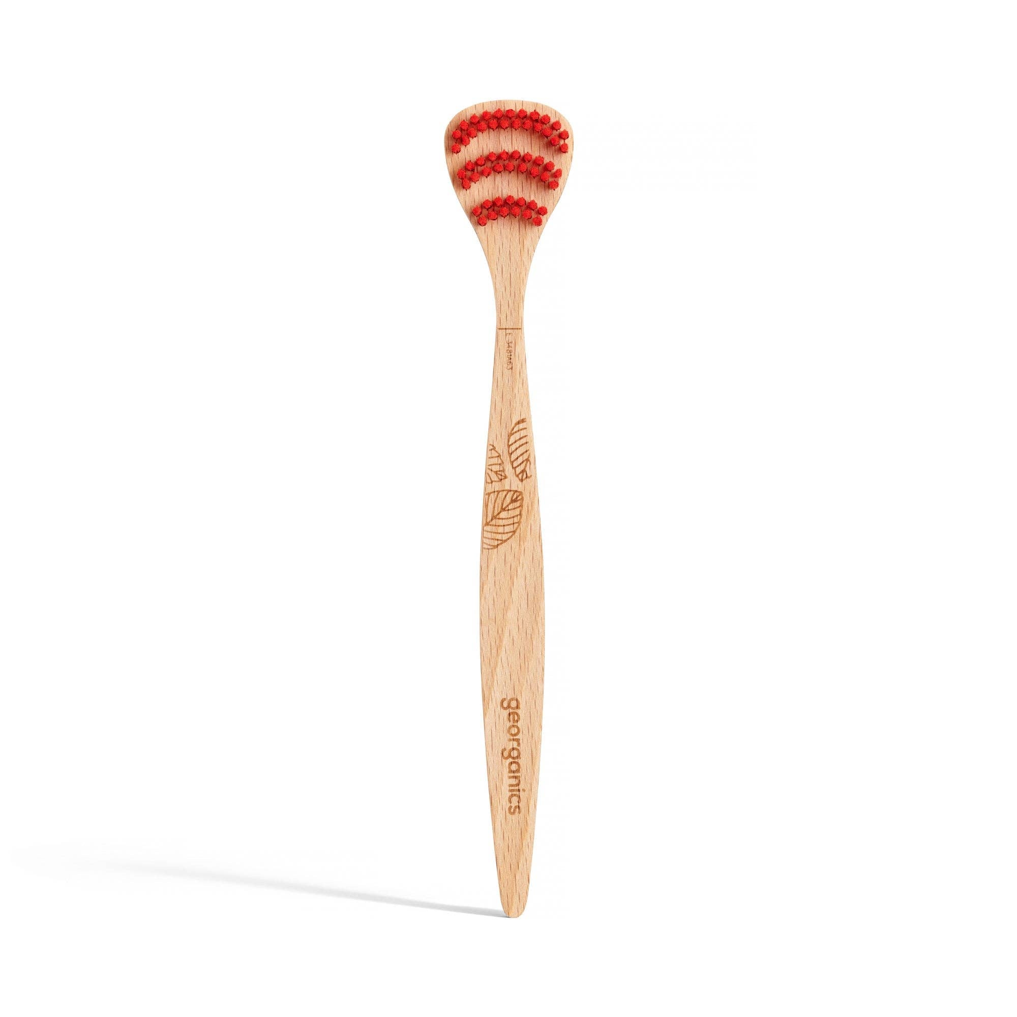 Beechwood Tonguebrush