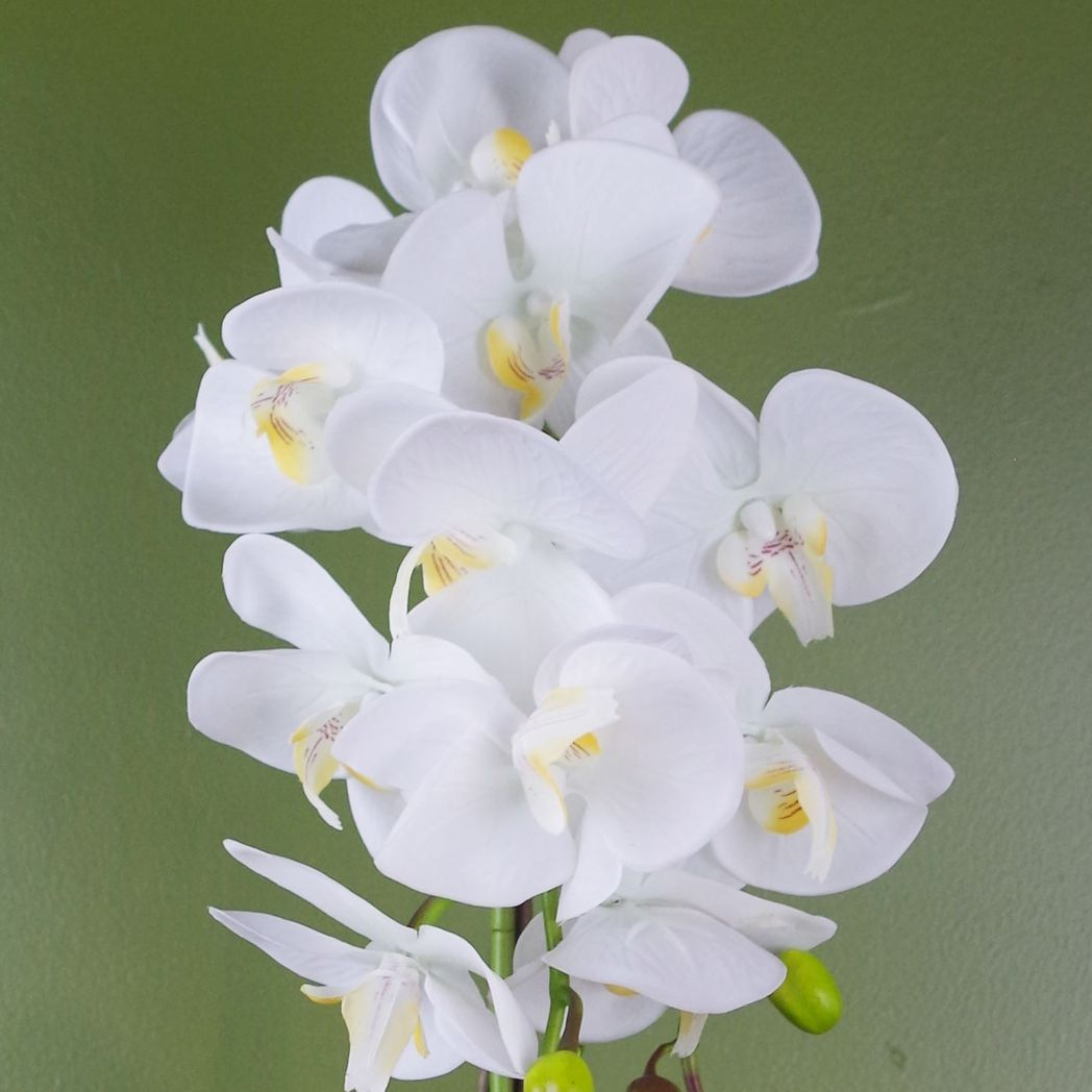 Leaf 52cm Artificial Orchid White and Gold in Decorative Gold Pot