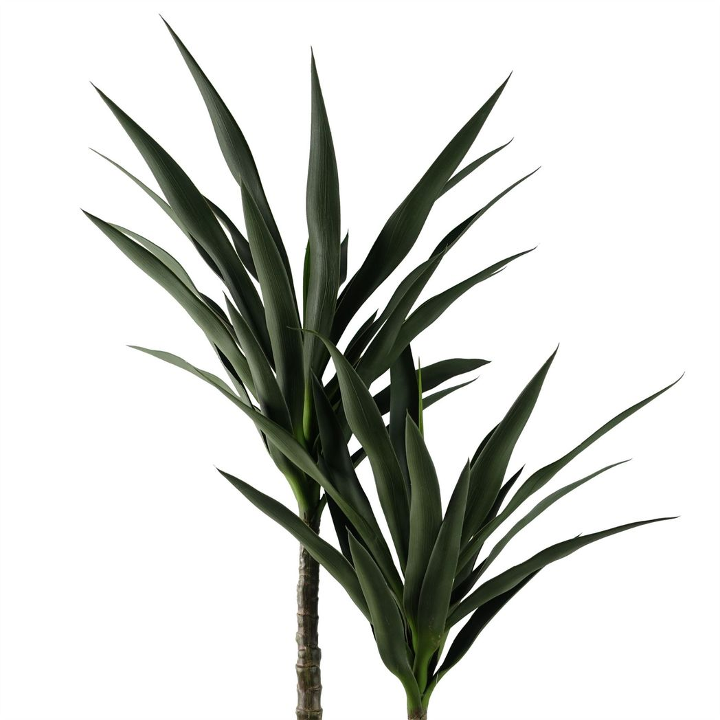 Leaf 120cm UV Resistant Yucca Tree for Outdoor Use