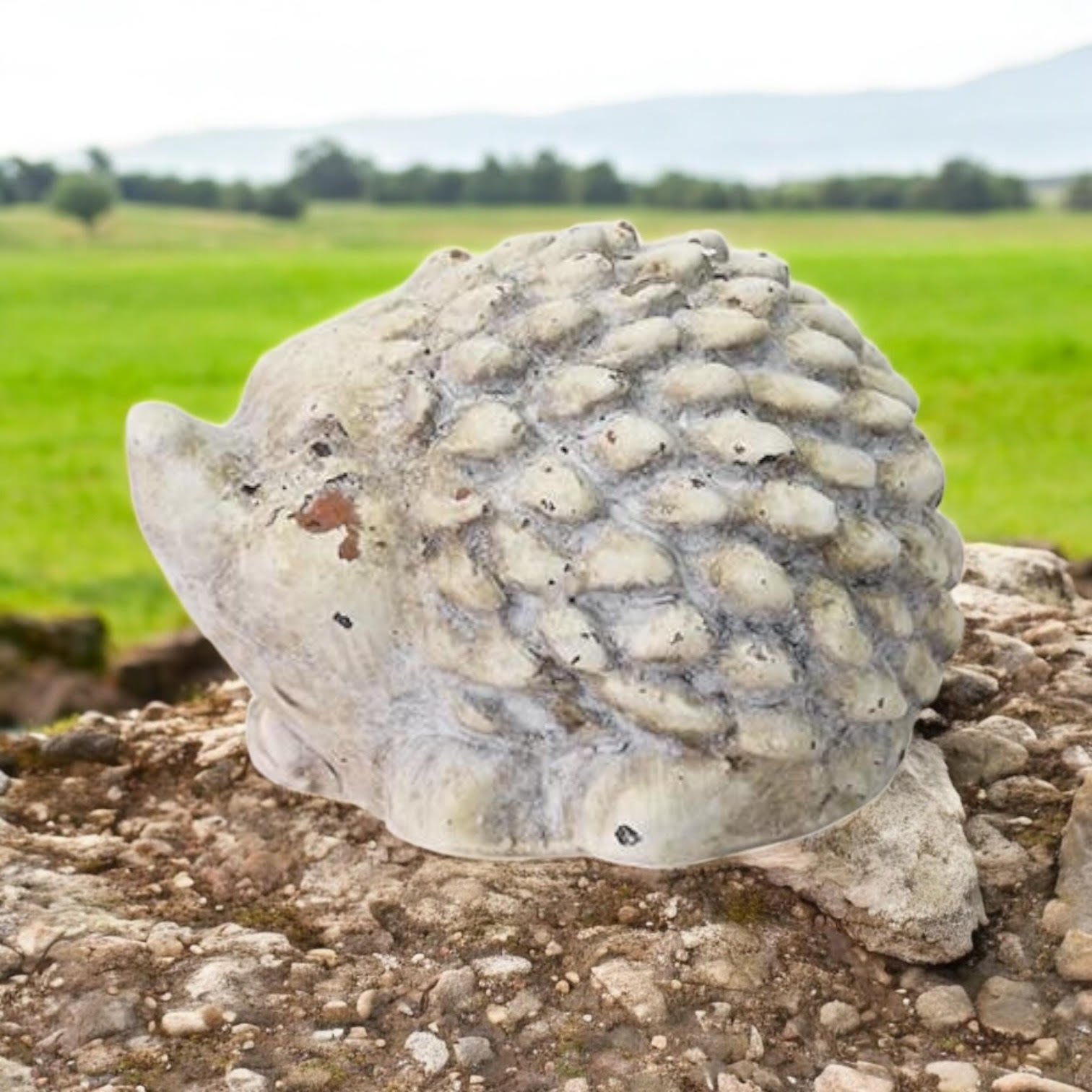 MSL 10cm Cream Cement Hedgehog Garden Ornament