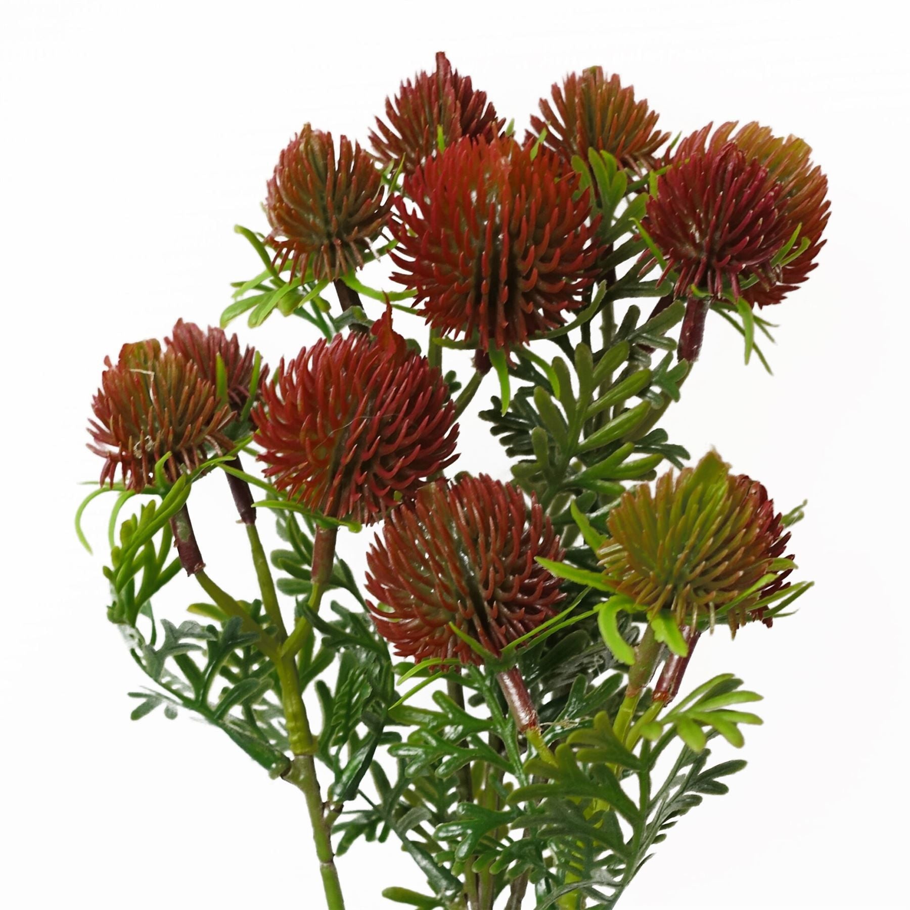 Pack of 6 Red Artificial Craspedia Stems 55cm Wired Shapable
