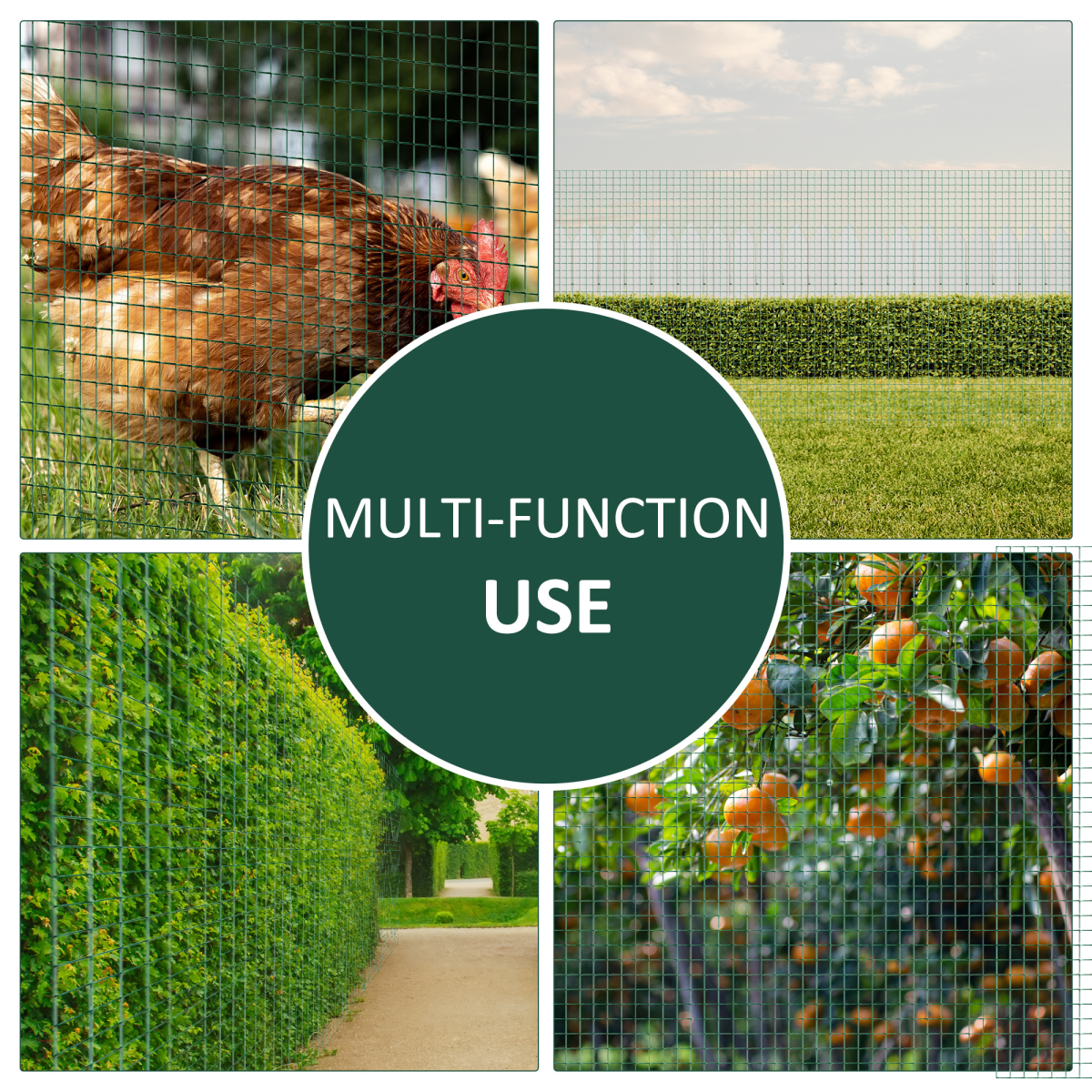 PVC Coated Galvanised Welded Wire Mesh Fence for Chicken Poultry Aviary Run Hutch Garden Bird Proofing