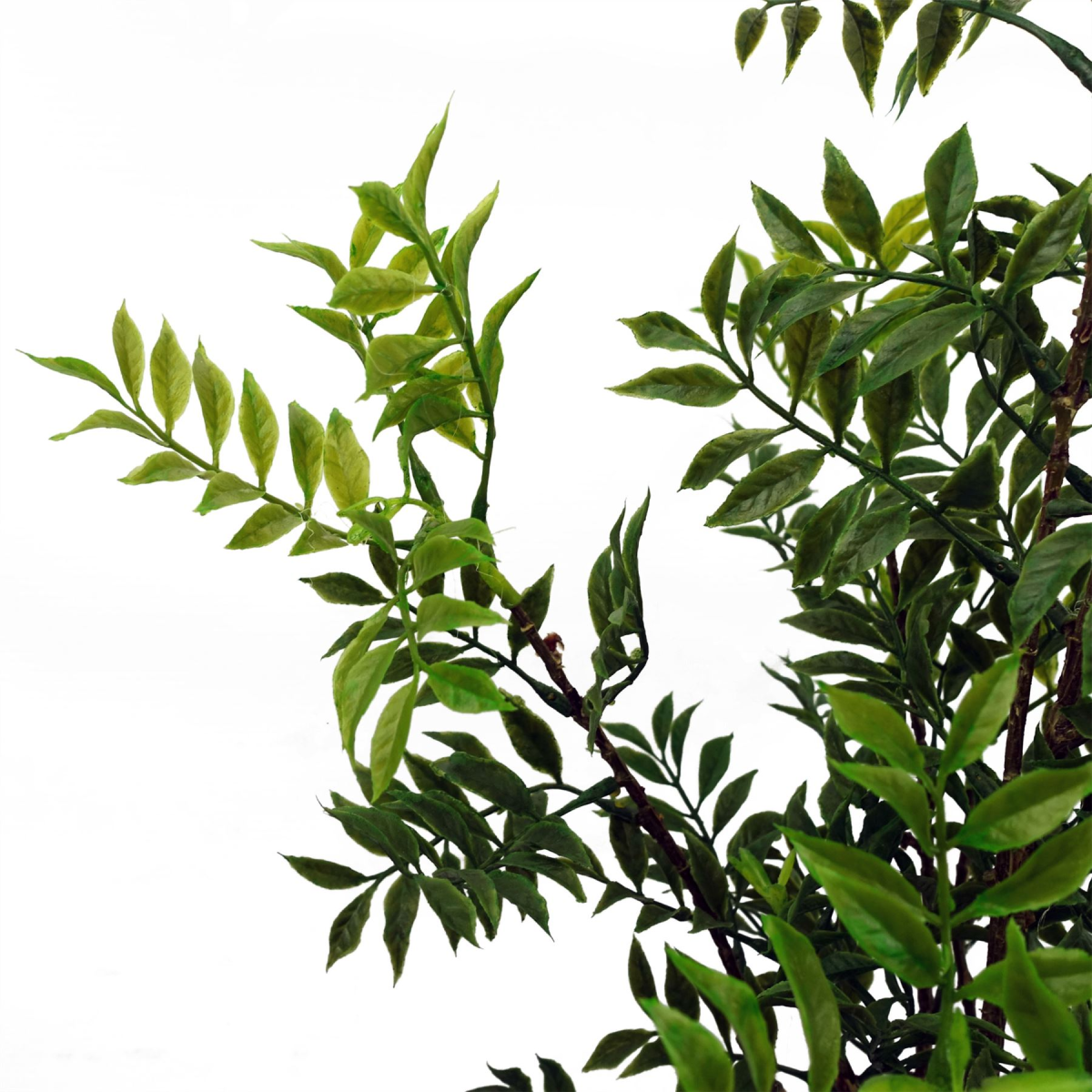 Leaf 60cm Artificial Nandina Bonsai Ficus Tree in Plastic Pot