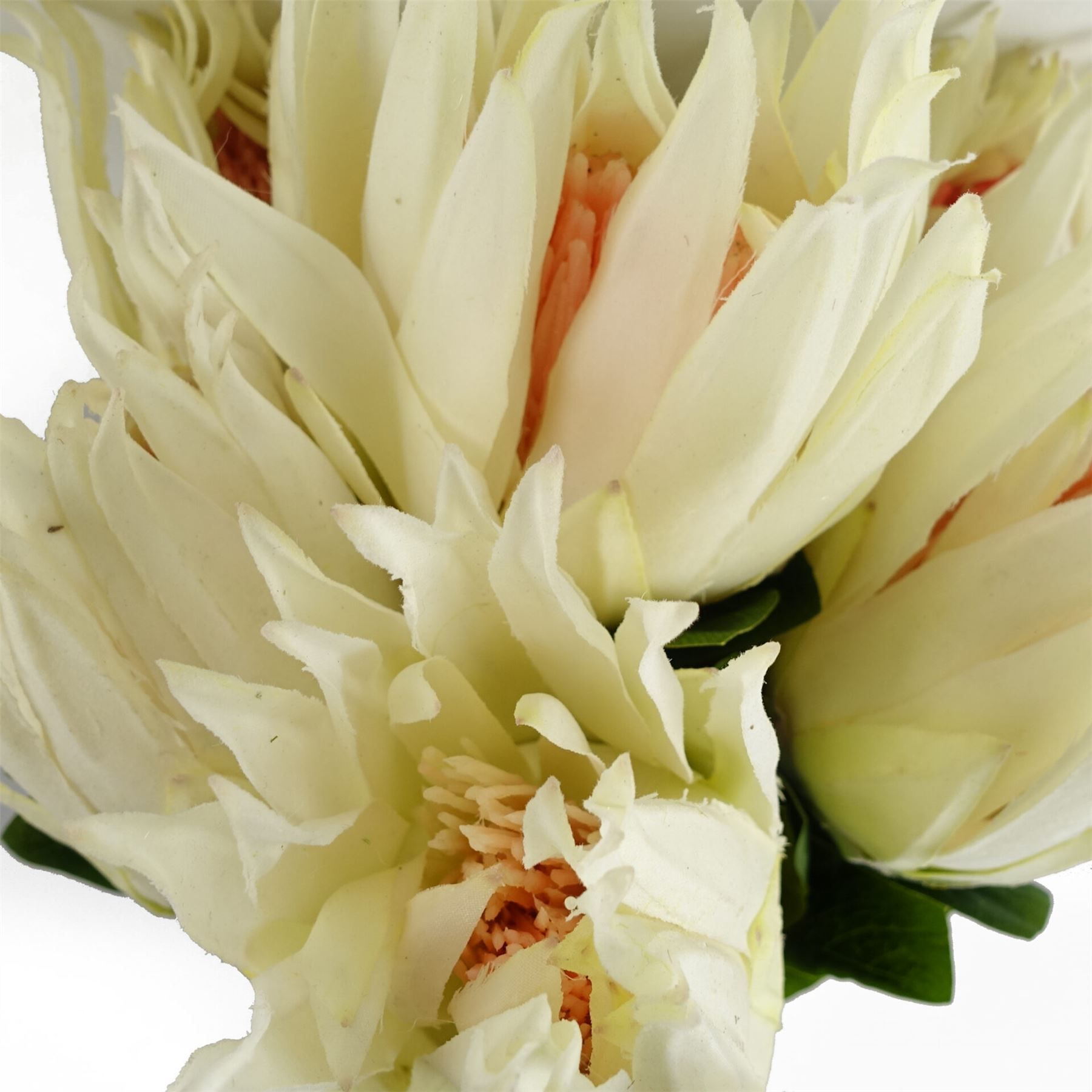 Pack of 6 White 65cm Artificial Protea Sugarbush Flower Stems