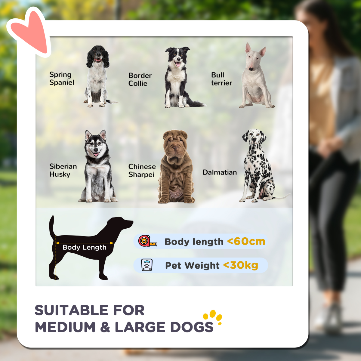 PawHut Foldable Dog Pram with Universal Front EVA Wheels, Safety Leashes, Steel Frame, Grey and Black